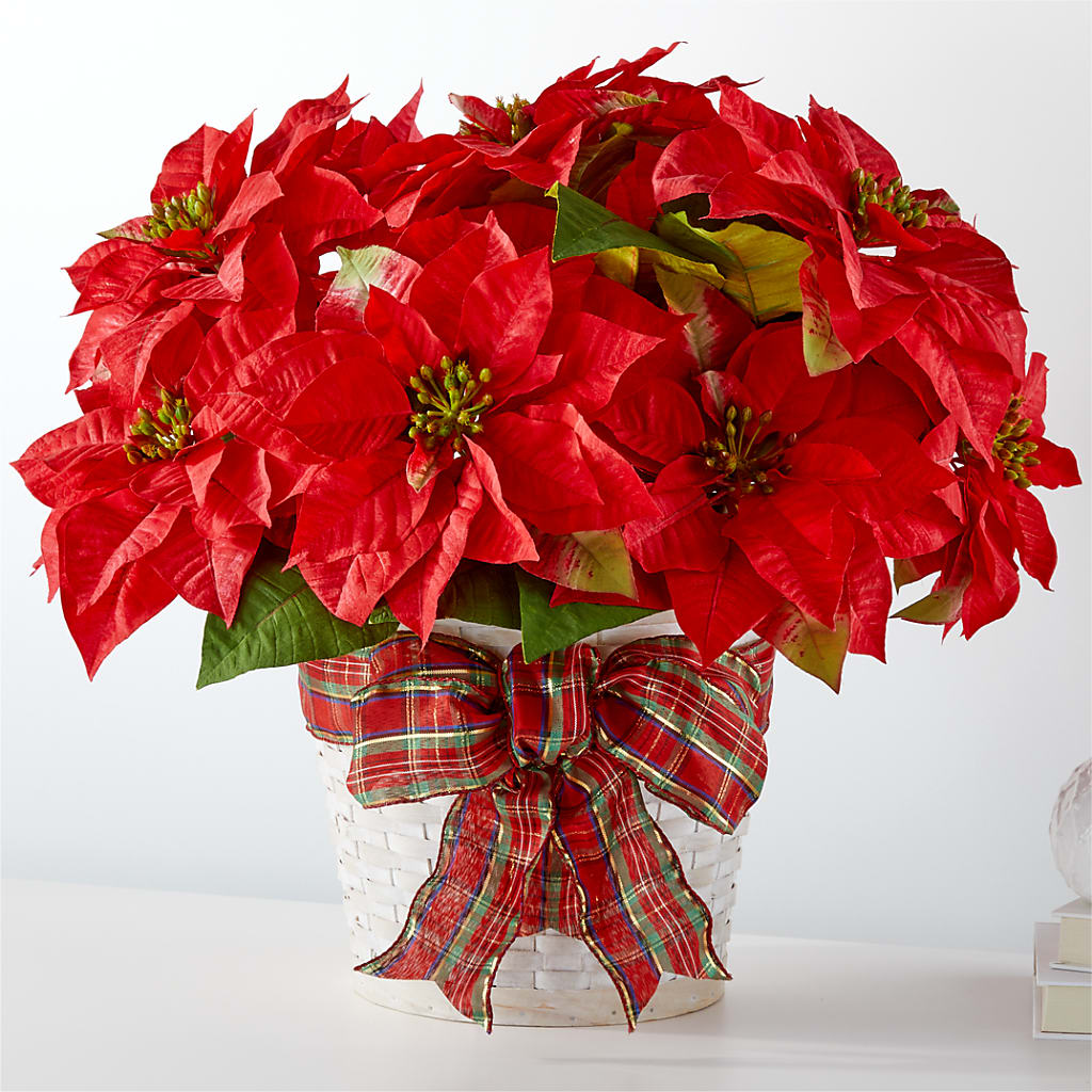 Happiest Holidays Poinsettia – MOORE'S FLOWERS & GIFTS, Fayette AL