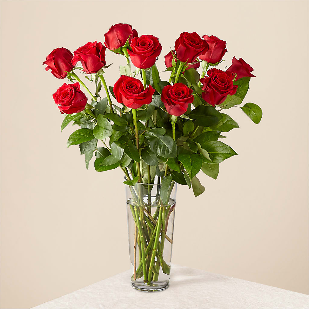 Long Stem Red Rose Bouquet – MOORE'S FLOWERS & GIFTS, Fayette AL
