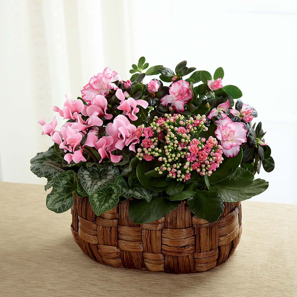 Pink Assortment – MOORE'S FLOWERS & GIFTS, Fayette AL