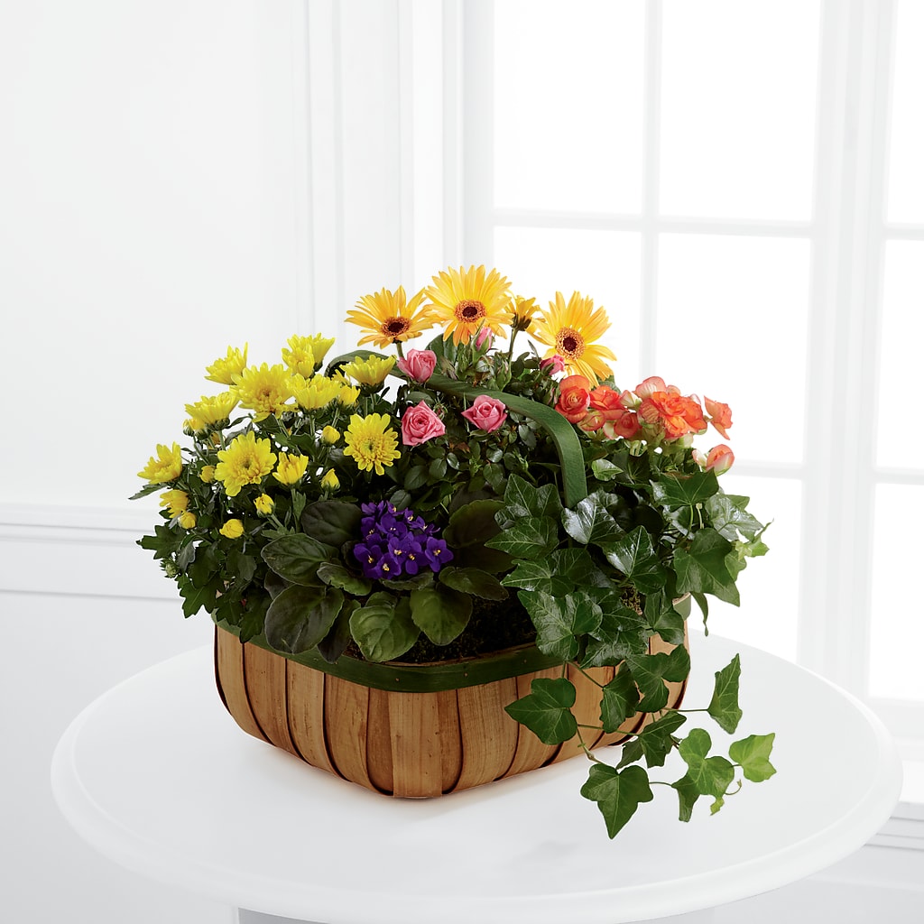 Gentle Blossoms Basket – MOORE'S FLOWERS & GIFTS, Fayette AL