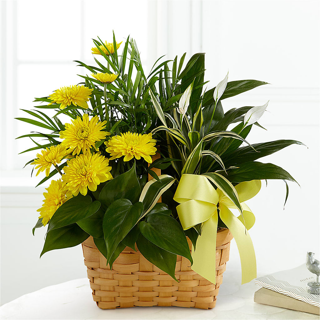 Loving Light Dishgarden – MOORE'S FLOWERS & GIFTS, Fayette AL