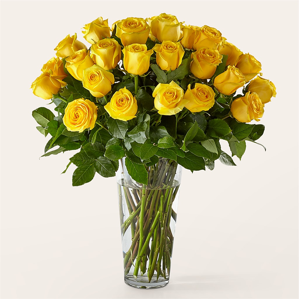 Long Stem Yellow Rose Bouquet – MOORE'S FLOWERS & GIFTS, Fayette AL
