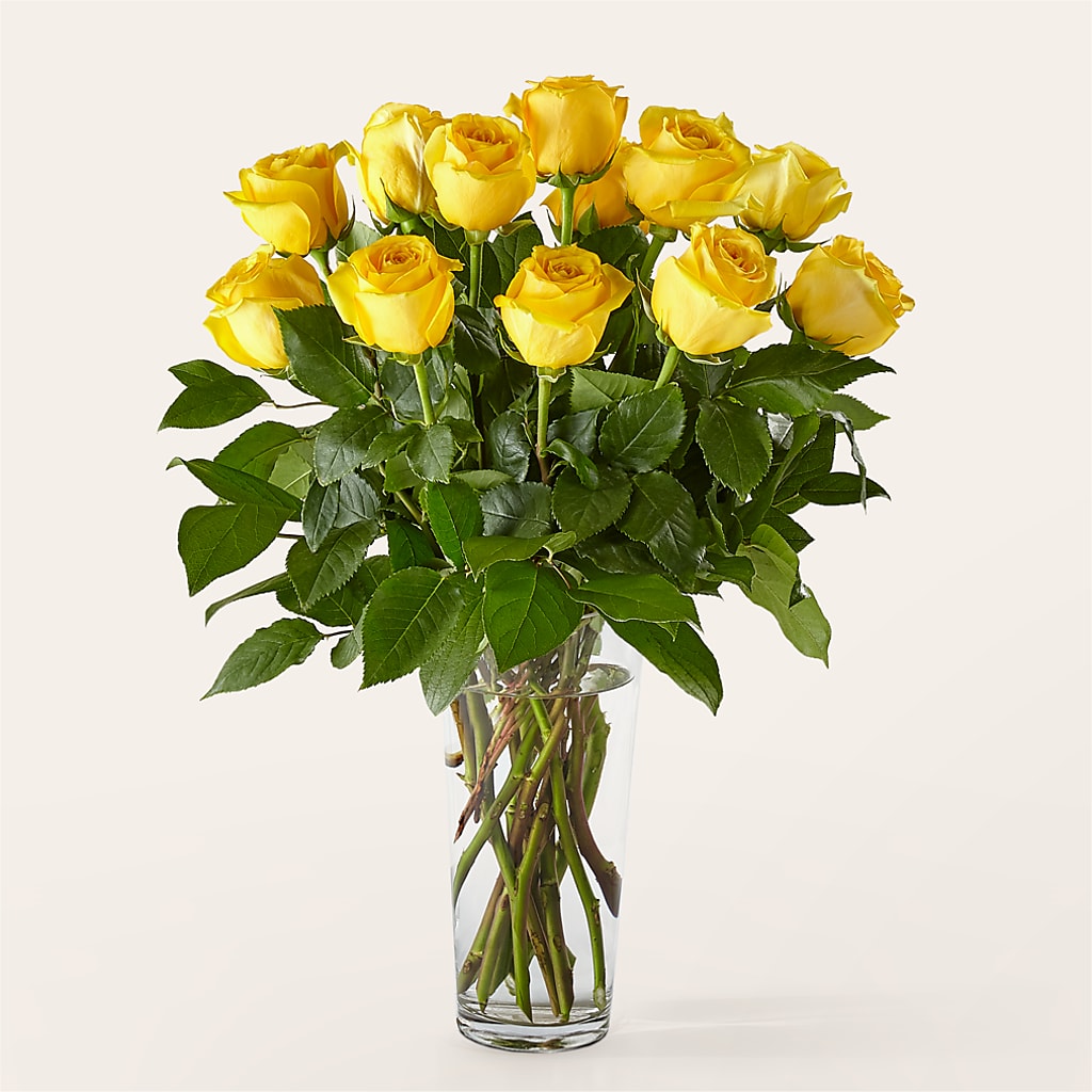 Long Stem Yellow Rose Bouquet – MOORE'S FLOWERS & GIFTS, Fayette AL