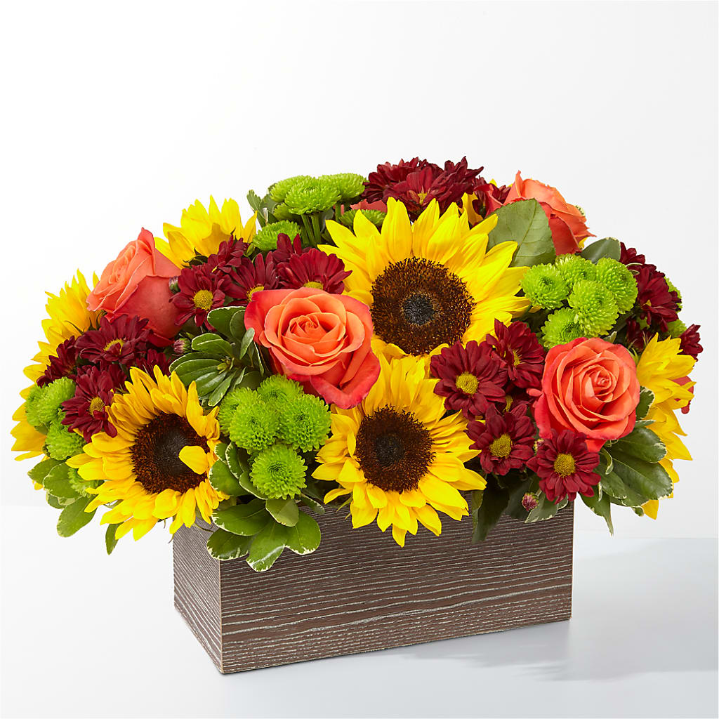 Happy Harvest Garden – MOORE'S FLOWERS & GIFTS, Fayette AL