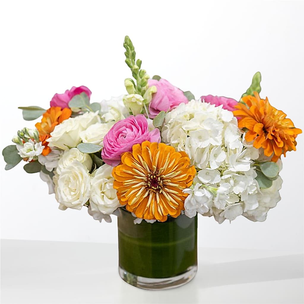 The Meet Cute – MOORE'S FLOWERS & GIFTS, Fayette AL