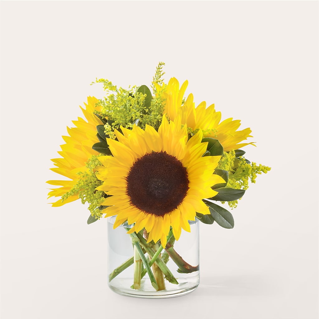 Beaming Sunflower Bouquet – MOORE'S FLOWERS & GIFTS, Fayette AL