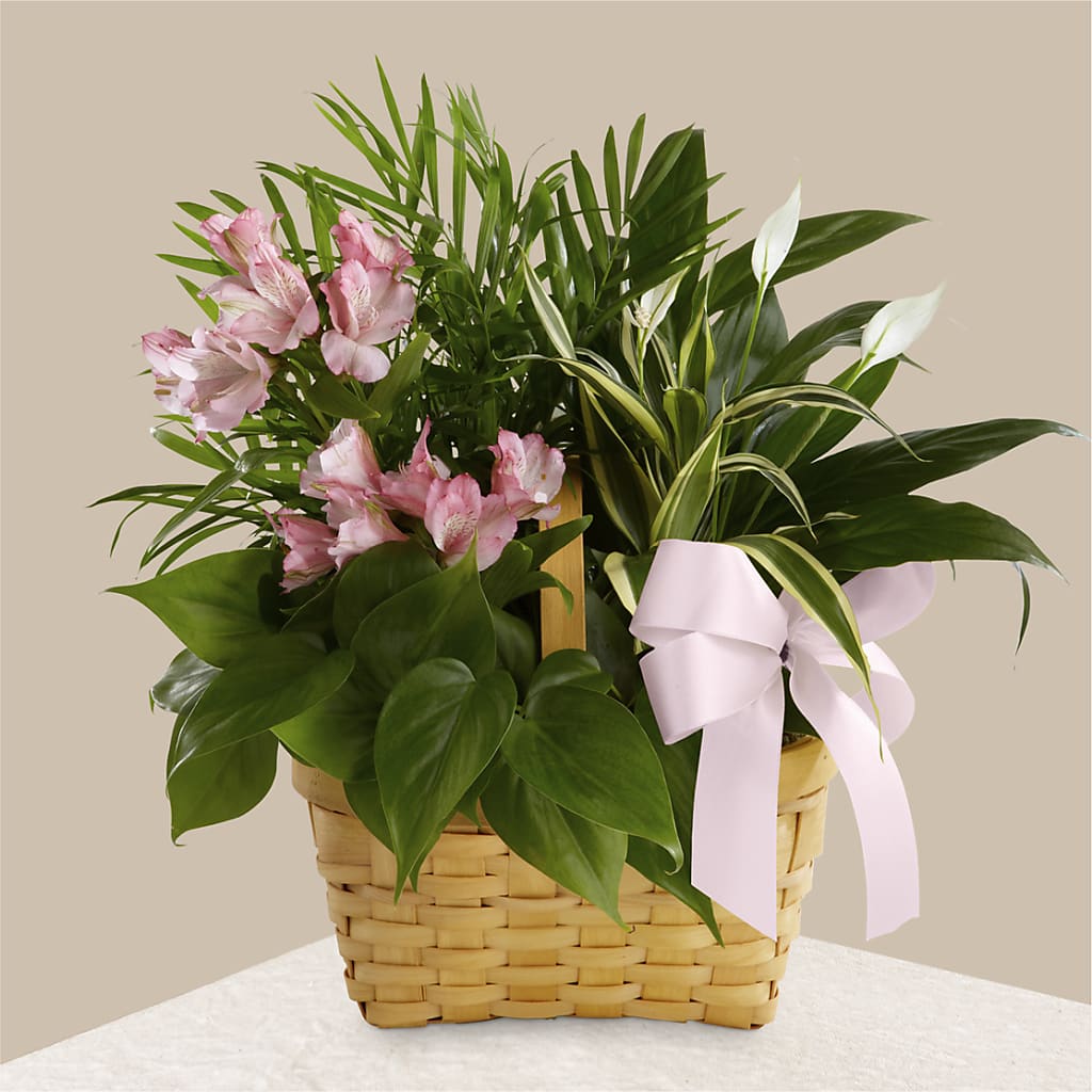 Living Spirit Dishgarden – MOORE'S FLOWERS & GIFTS, Fayette AL