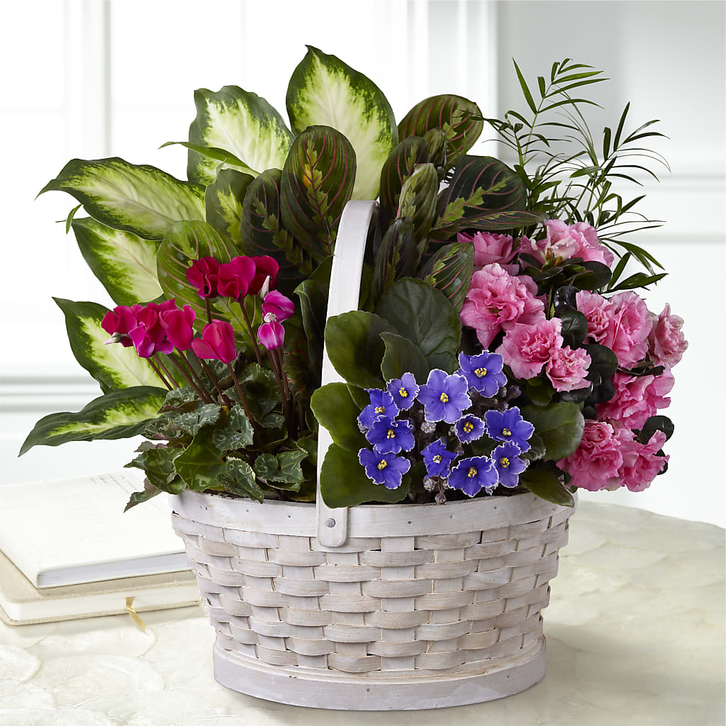 Peaceful Garden Planter – MOORE'S FLOWERS & GIFTS, Fayette AL