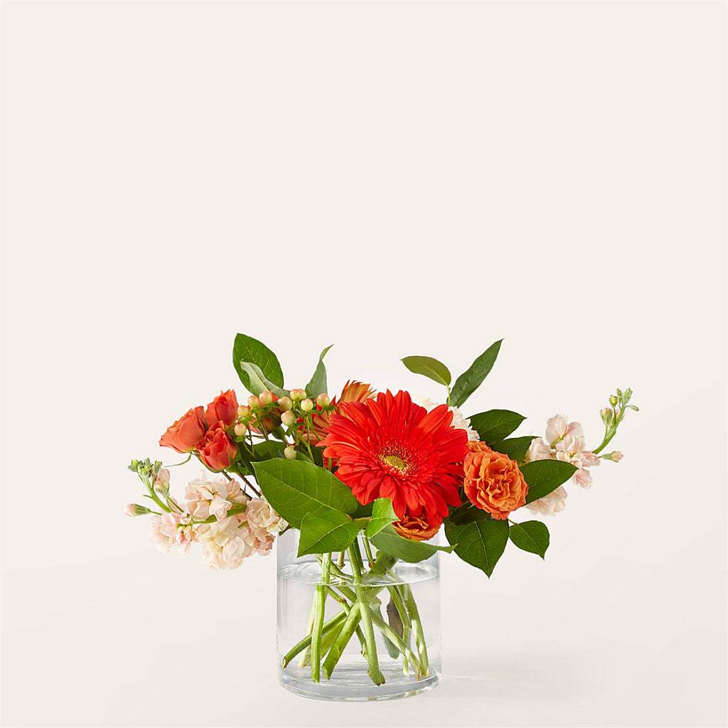 Paloma Please Bouquet – MOORE'S FLOWERS & GIFTS, Fayette AL