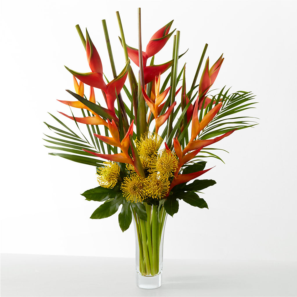 The Drama – MOORE'S FLOWERS & GIFTS, Fayette AL