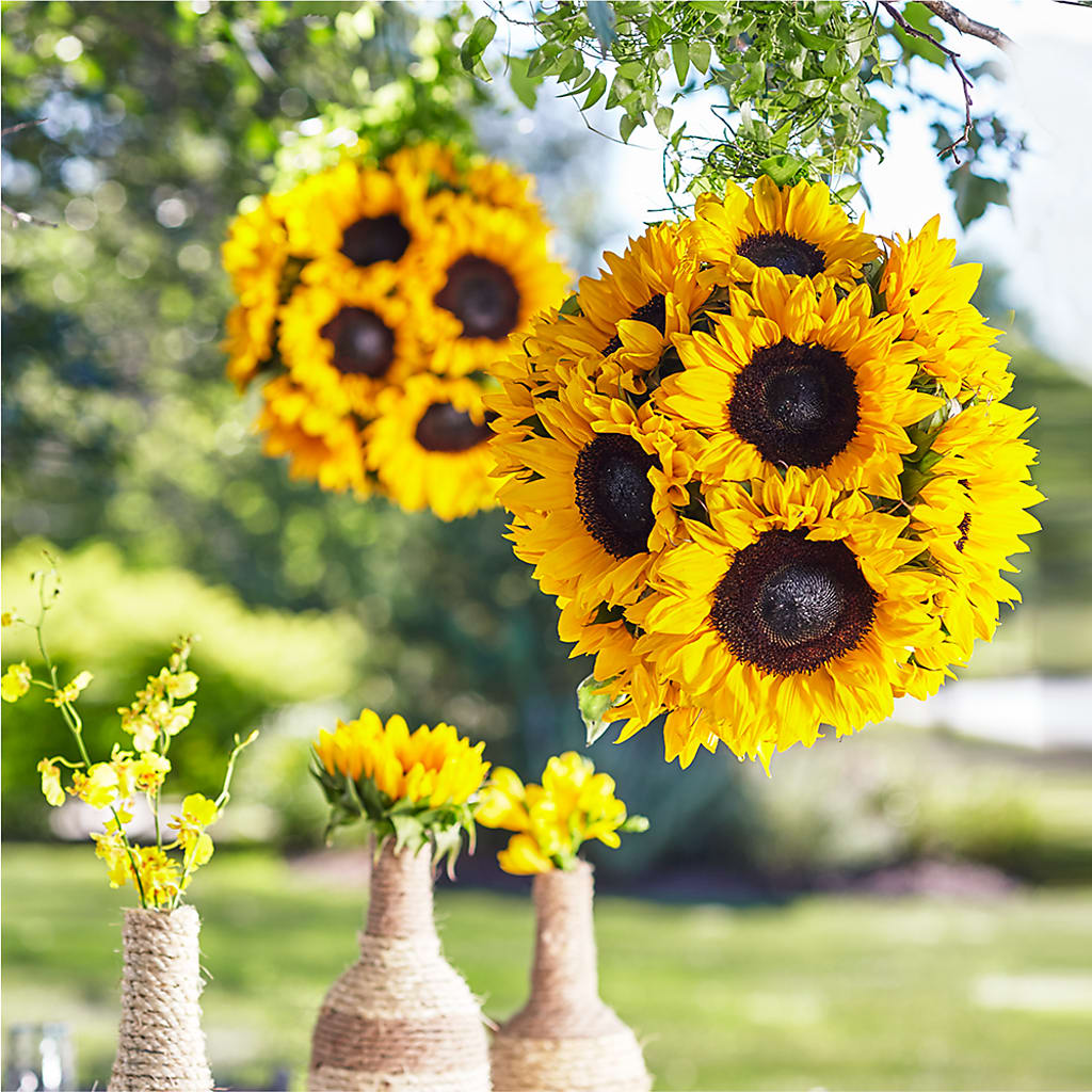 Sublime Garden Hanging Arrangement – MOORE'S FLOWERS & GIFTS, Fayette AL