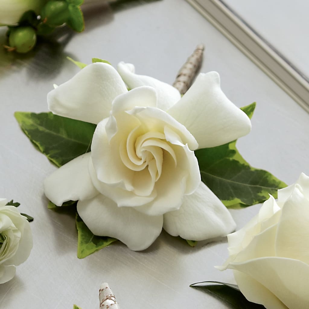 Gardenia Boutonniere – MOORE'S FLOWERS & GIFTS, Fayette AL