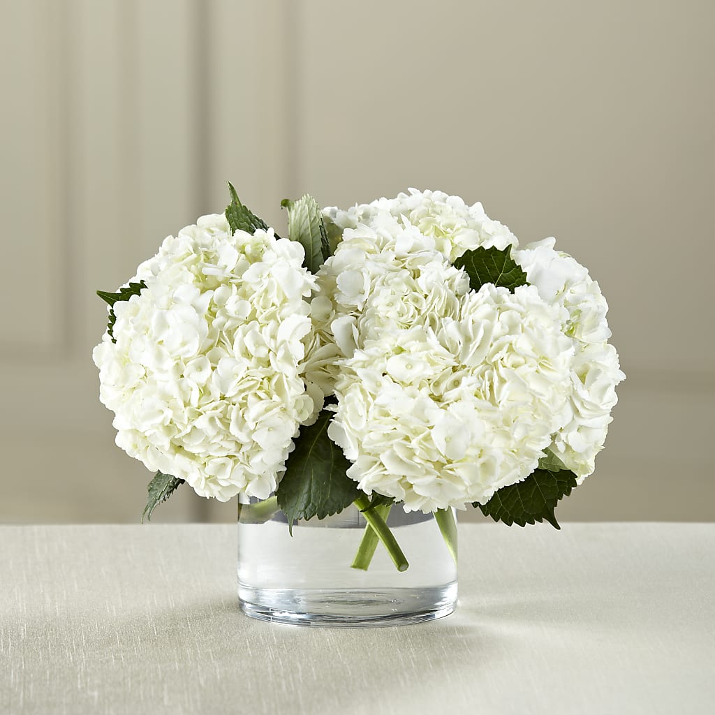 White Hydrangea Bouquet – MOORE'S FLOWERS & GIFTS, Fayette AL