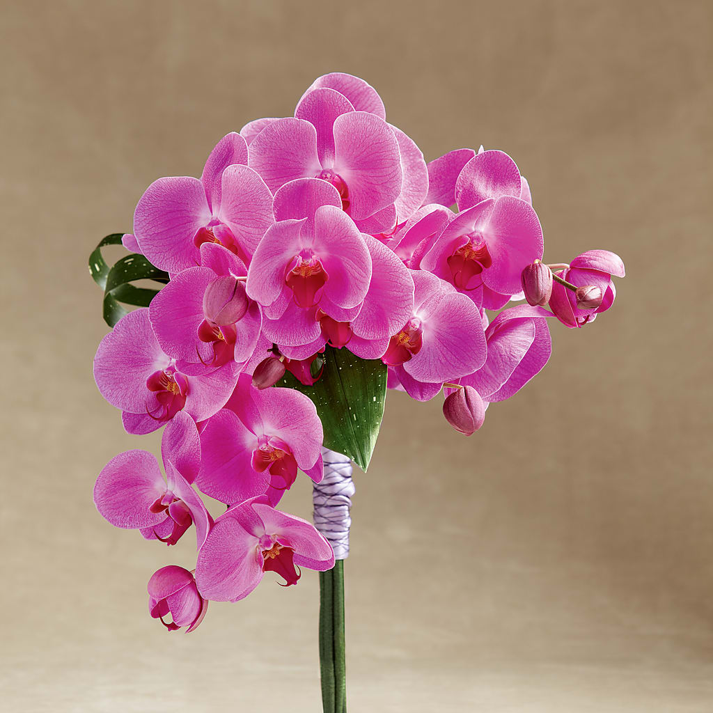 Glorious Bouquet – MOORE'S FLOWERS & GIFTS, Fayette AL