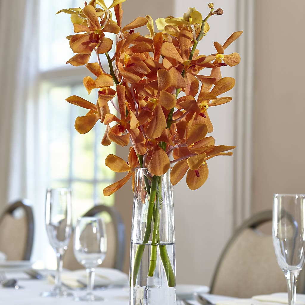 Orange Mokara Bud Vase – MOORE'S FLOWERS & GIFTS, Fayette AL