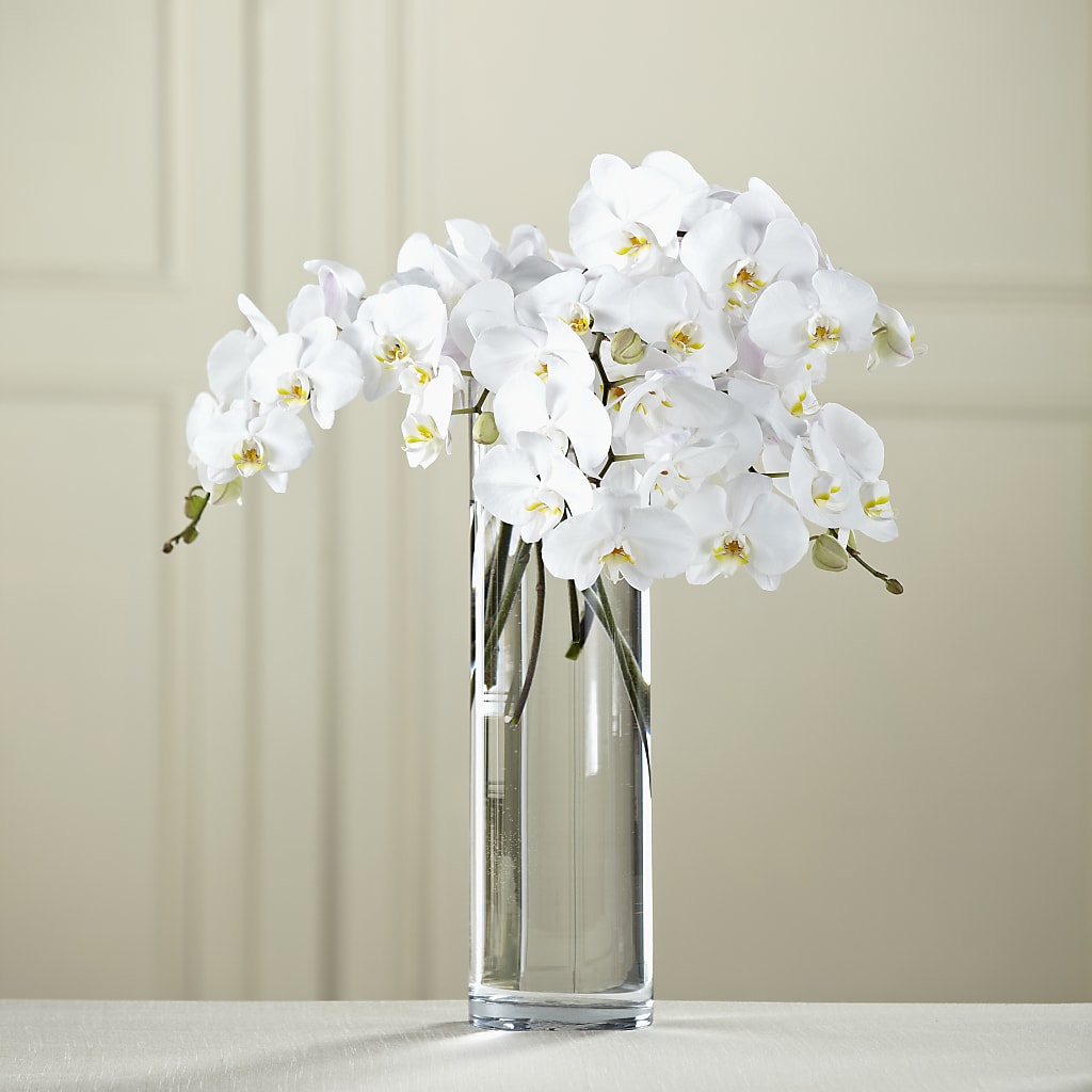White Phalaenopsis Bouquet – MOORE'S FLOWERS & GIFTS, Fayette AL
