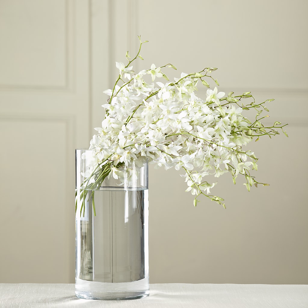 White Dendrobium Bouquet – MOORE'S FLOWERS & GIFTS, Fayette AL