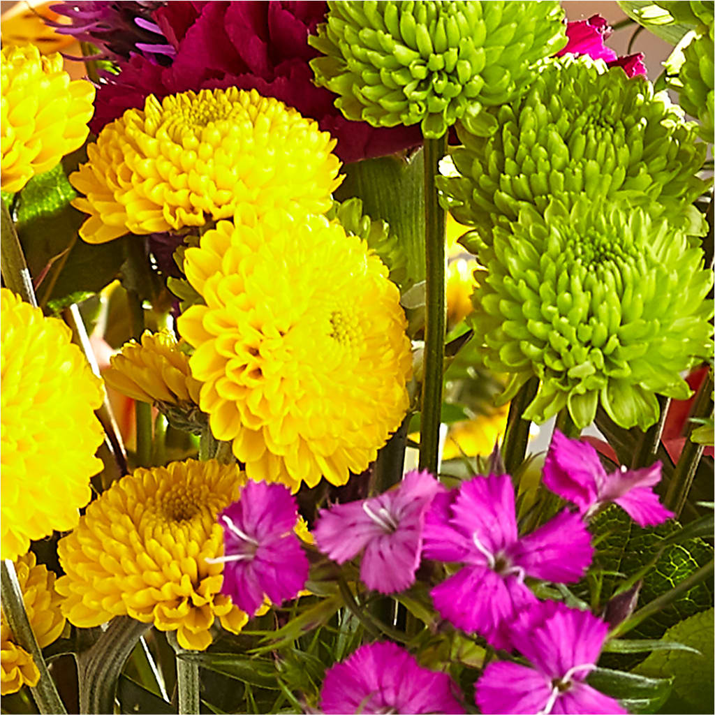Bold & Bright – A Florist Original – MOORE'S FLOWERS & GIFTS, Fayette AL
