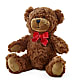 Adorable Plush Bear – MOORE'S FLOWERS & GIFTS, Fayette AL