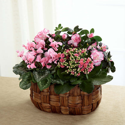 Pink Assortment – MOORE'S FLOWERS & GIFTS, Fayette AL