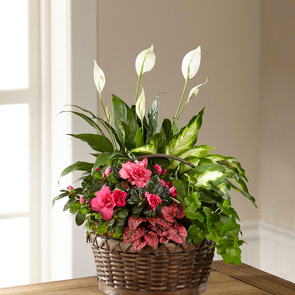 Dream in Pink Dishgarden – MOORE'S FLOWERS & GIFTS, Fayette AL