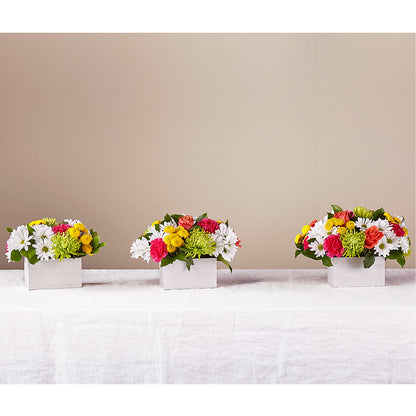 Sorbet Bouquet – MOORE'S FLOWERS & GIFTS, Fayette AL