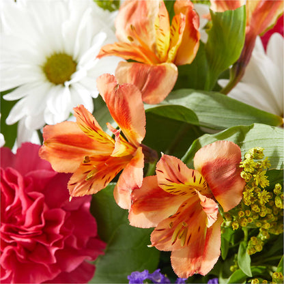 Oopsie Daisy Box Bouquet – MOORE'S FLOWERS & GIFTS, Fayette AL