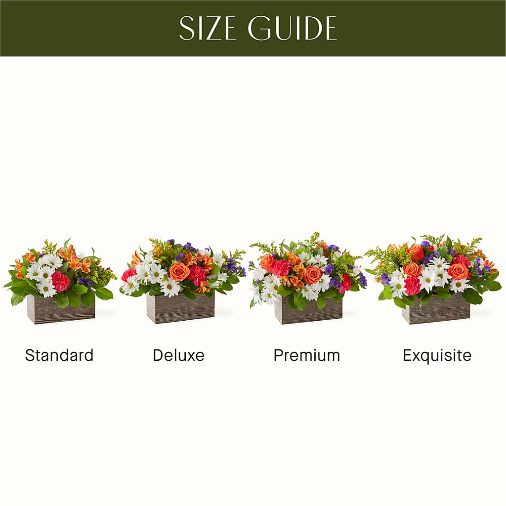 Oopsie Daisy Box Bouquet – MOORE'S FLOWERS & GIFTS, Fayette AL