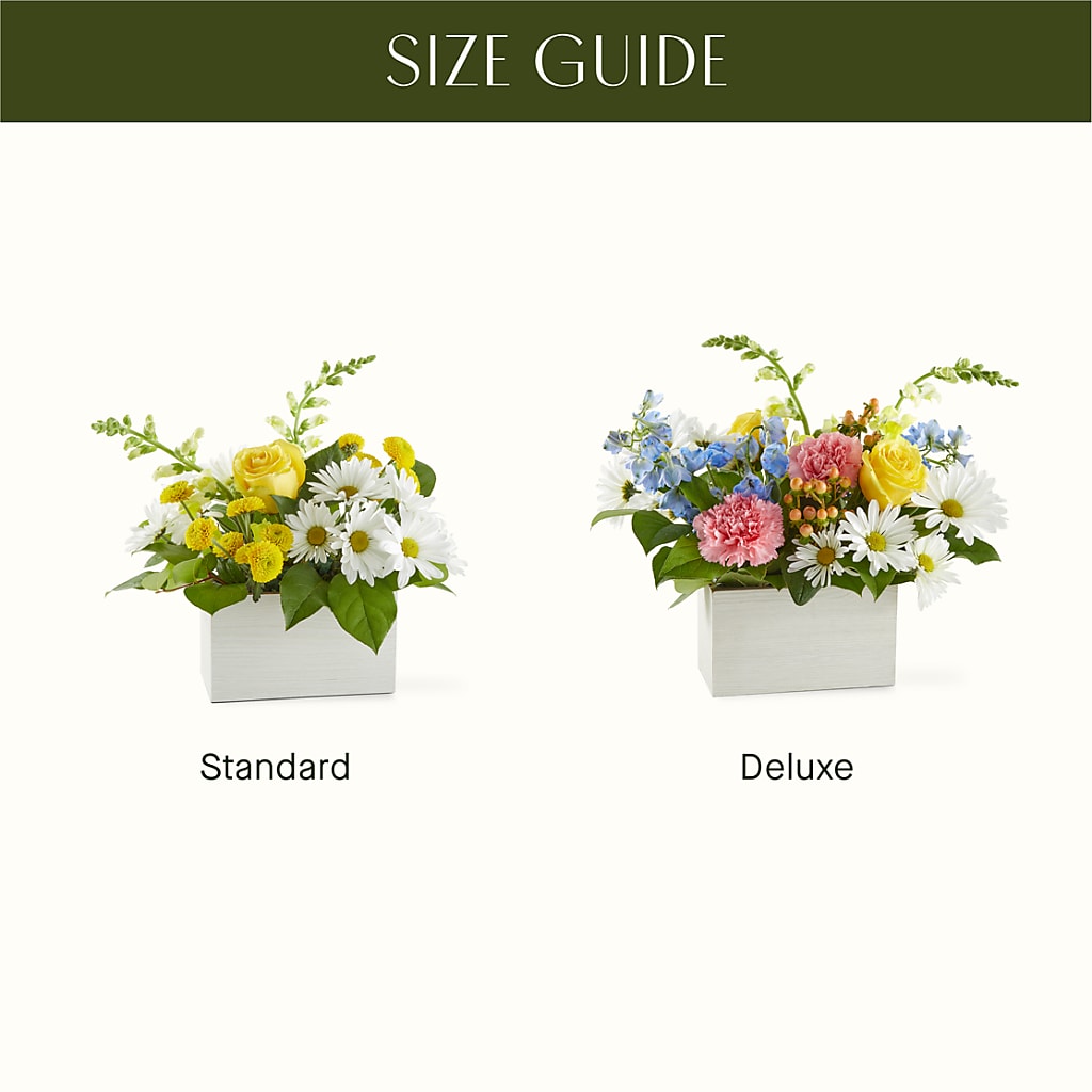 Sun Salutation Box Bouquet – MOORE'S FLOWERS & GIFTS, Fayette AL