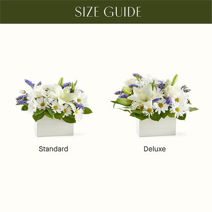Beyond Blue Box Bouquet – MOORE'S FLOWERS & GIFTS, Fayette AL