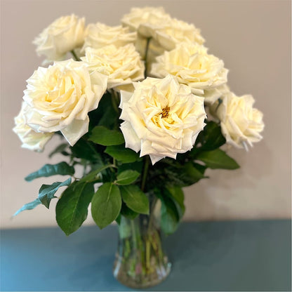 Long Stem Yellow Rose Bouquet – MOORE'S FLOWERS & GIFTS, Fayette AL