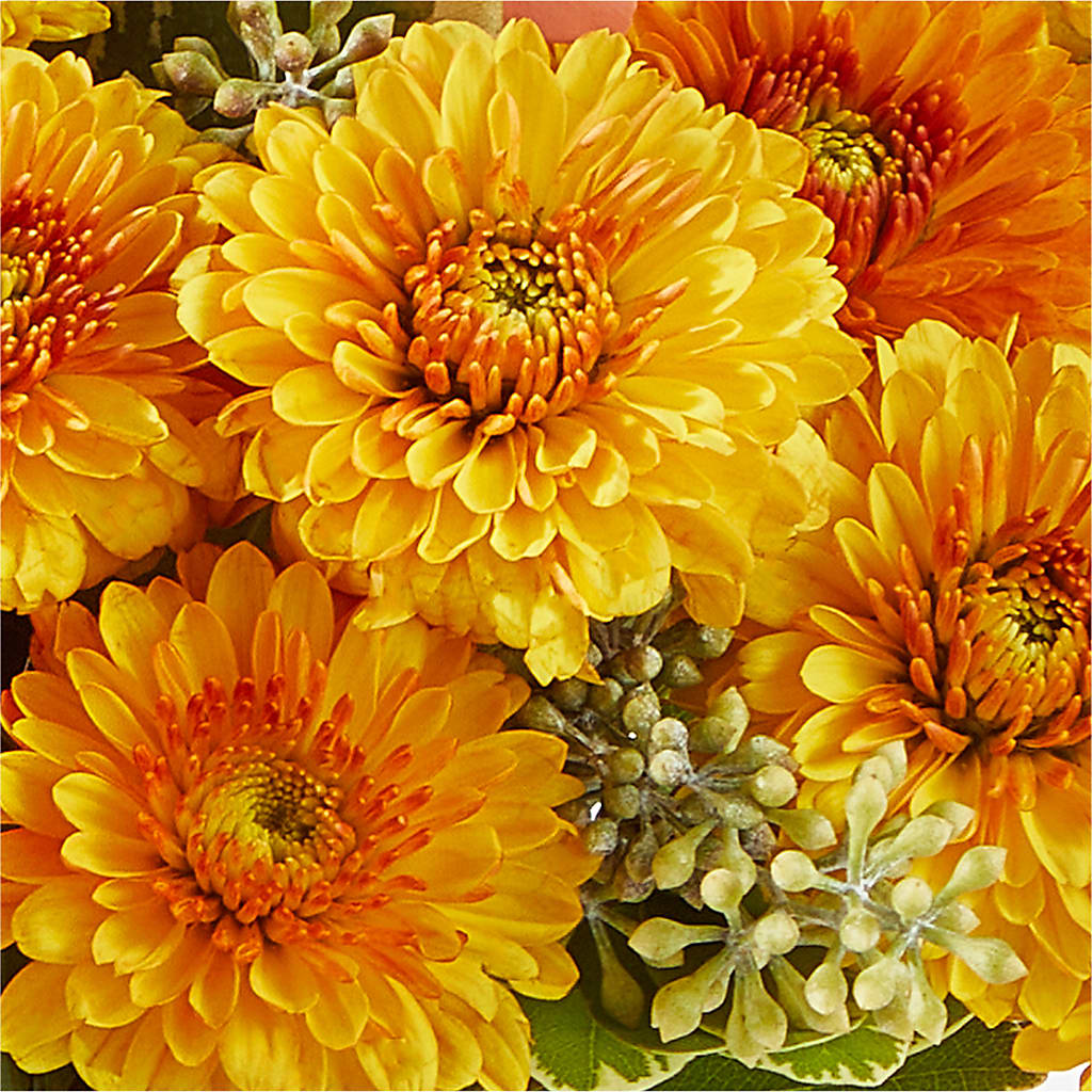 Peachy Pumpkin – MOORE'S FLOWERS & GIFTS, Fayette AL