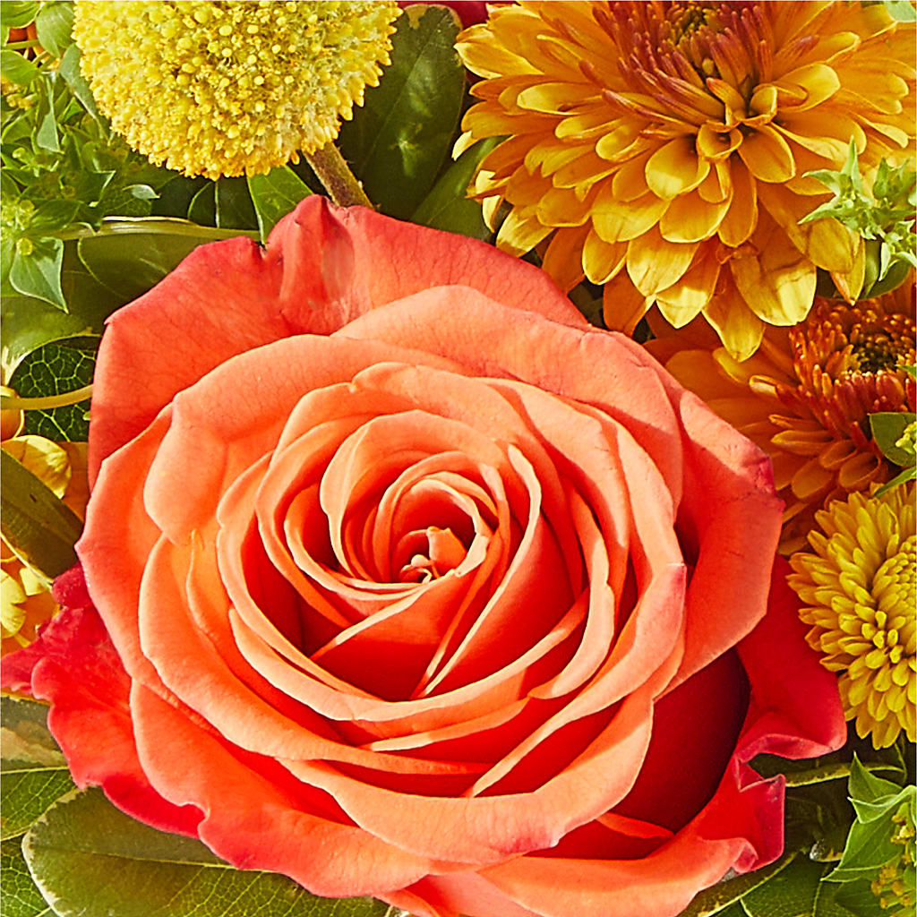 Gourdgeous Pumpkin – MOORE'S FLOWERS & GIFTS, Fayette AL