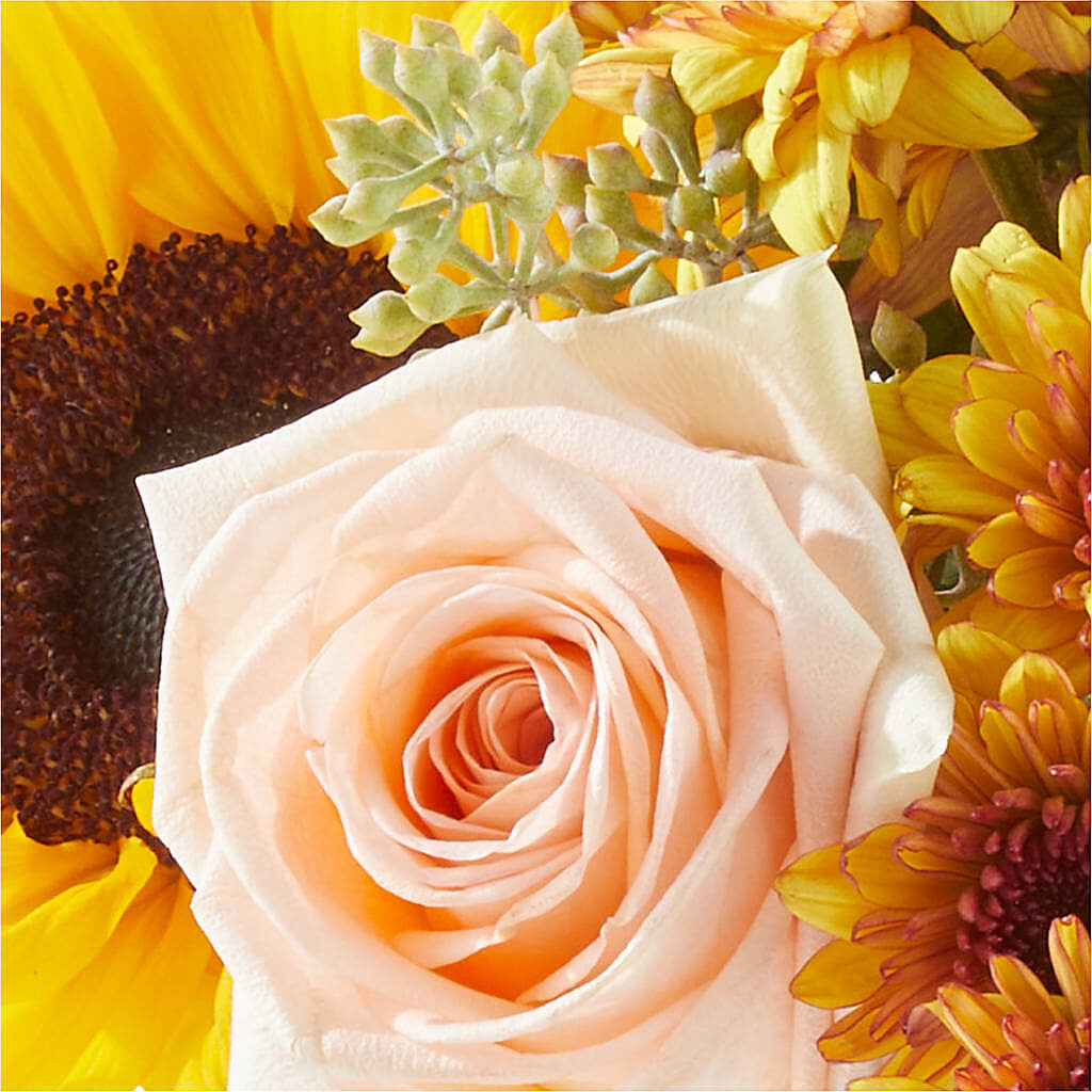 Pumpkin to Talk About Bouquet – MOORE'S FLOWERS & GIFTS, Fayette AL