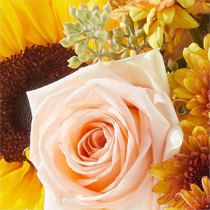 Pumpkin to Talk About Bouquet – MOORE'S FLOWERS & GIFTS, Fayette AL