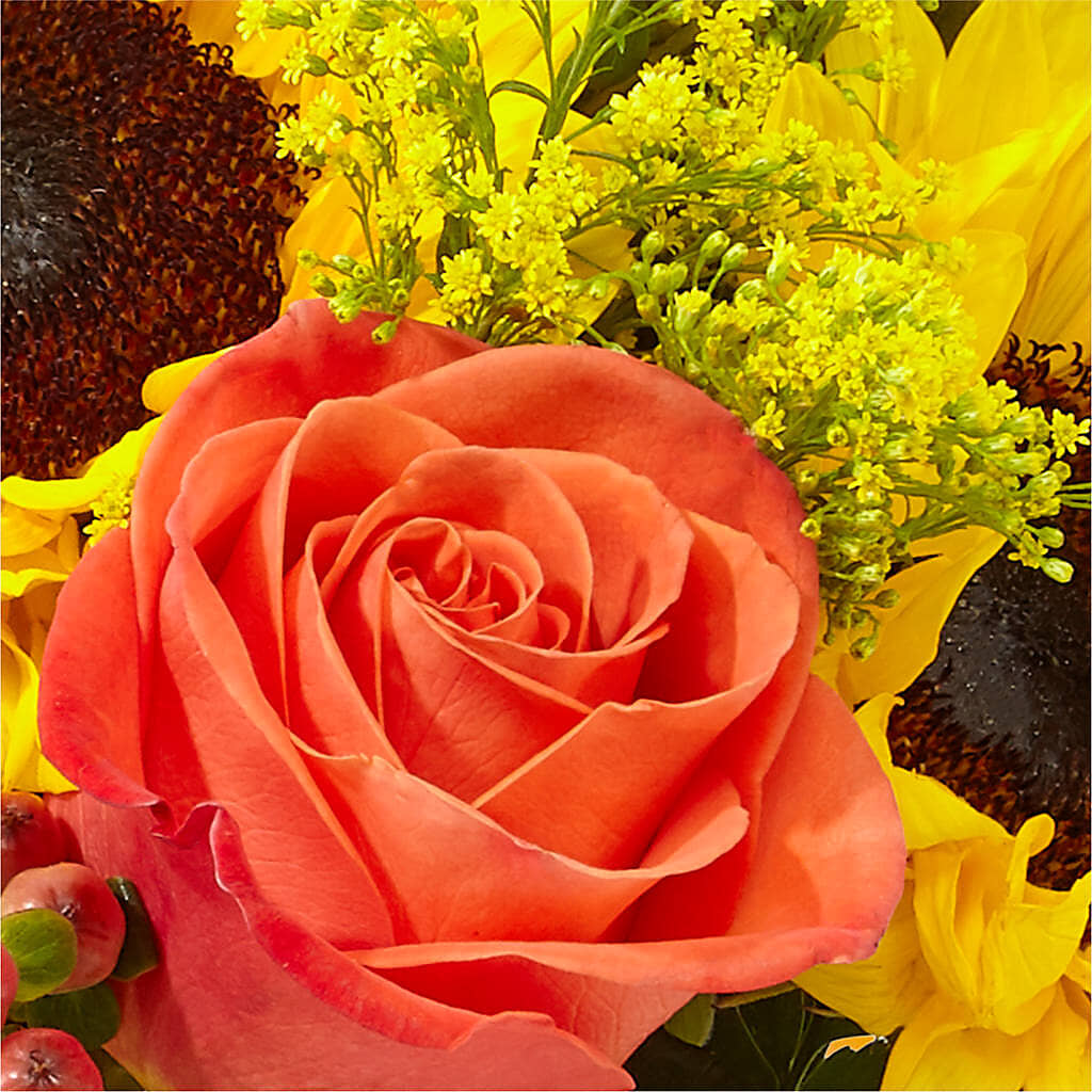 Pick of the Patch Pumpkin Bouquet – MOORE'S FLOWERS & GIFTS, Fayette AL