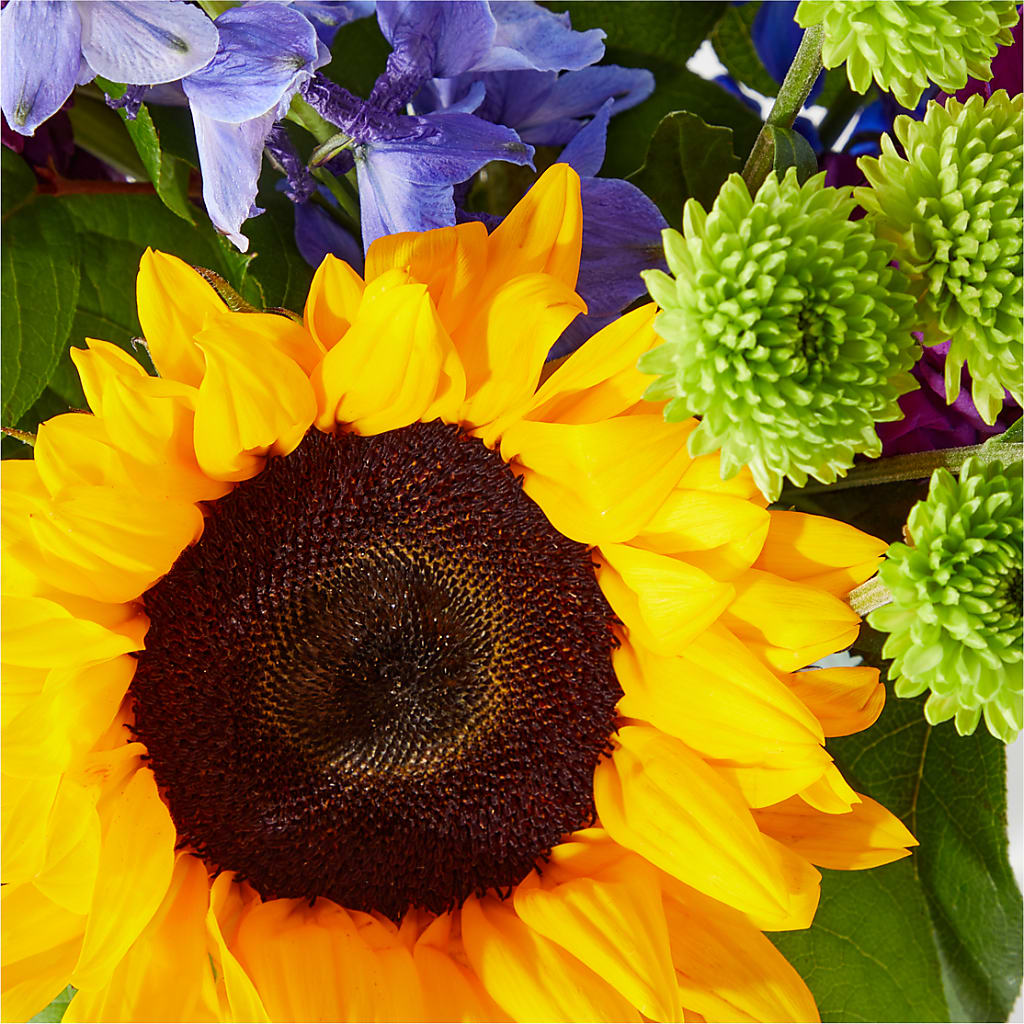 Catching Rays Bouquet – MOORE'S FLOWERS & GIFTS, Fayette AL