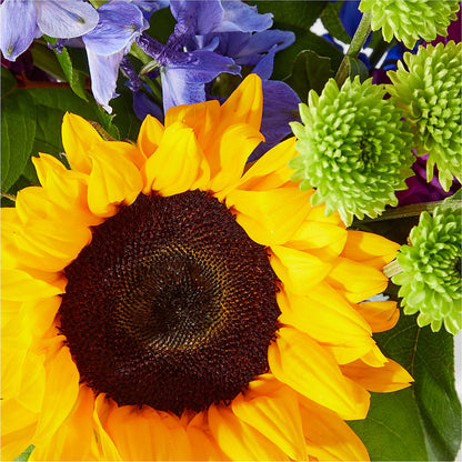 Catching Rays Bouquet – MOORE'S FLOWERS & GIFTS, Fayette AL