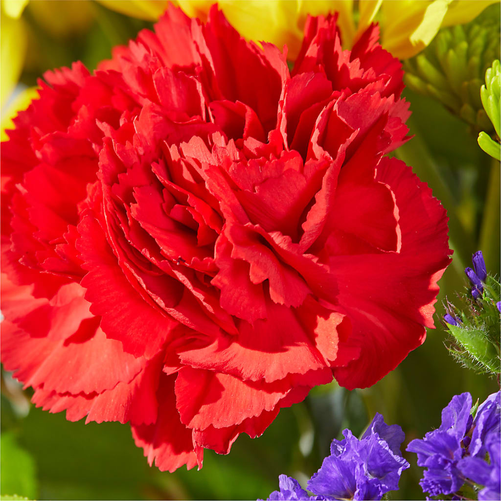 Brighter Days Bouquet – MOORE'S FLOWERS & GIFTS, Fayette AL