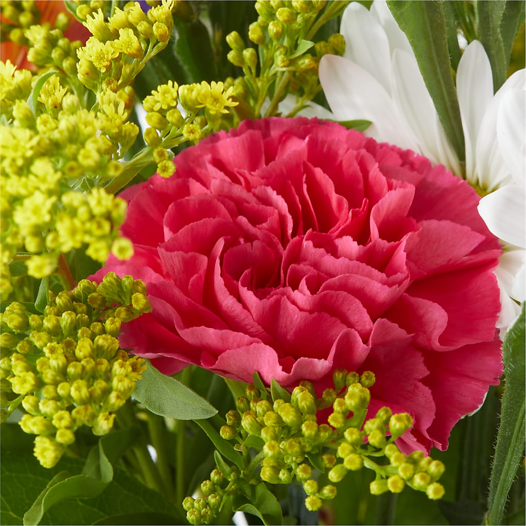 Oopsie Daisy Bouquet – MOORE'S FLOWERS & GIFTS, Fayette AL