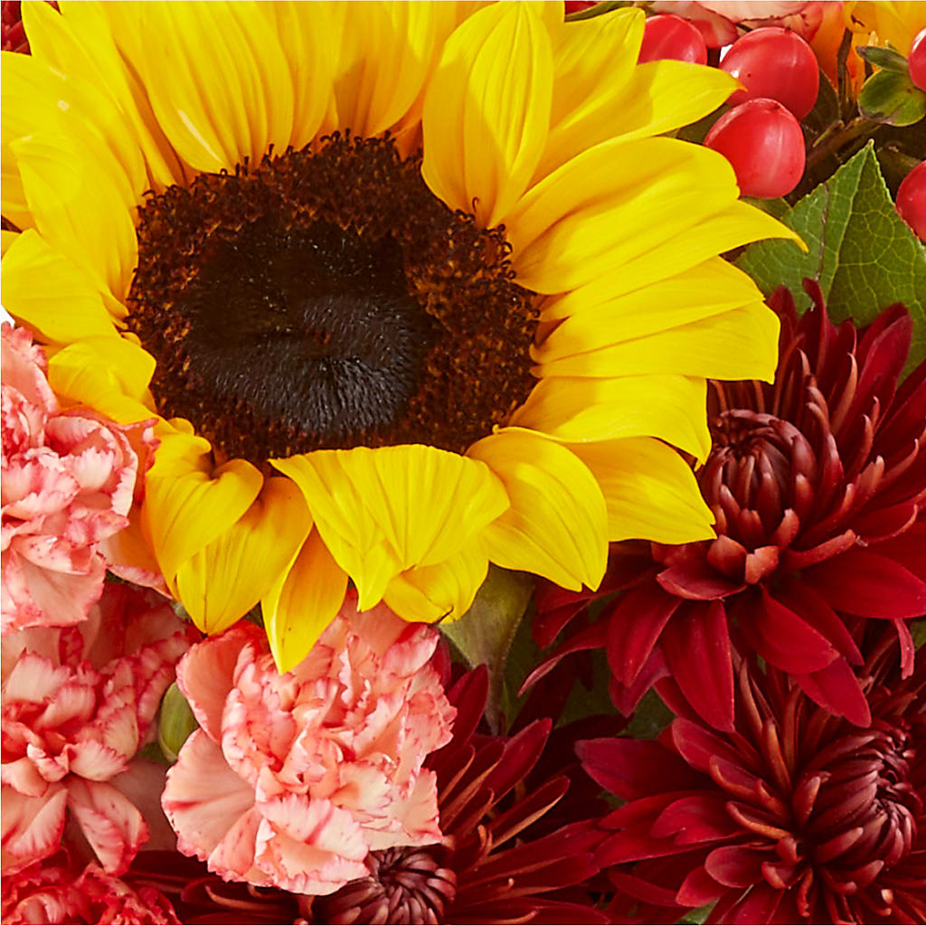 Fresh Cider Bouquet – MOORE'S FLOWERS & GIFTS, Fayette AL