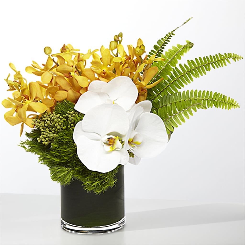 The Tropics – MOORE'S FLOWERS & GIFTS, Fayette AL