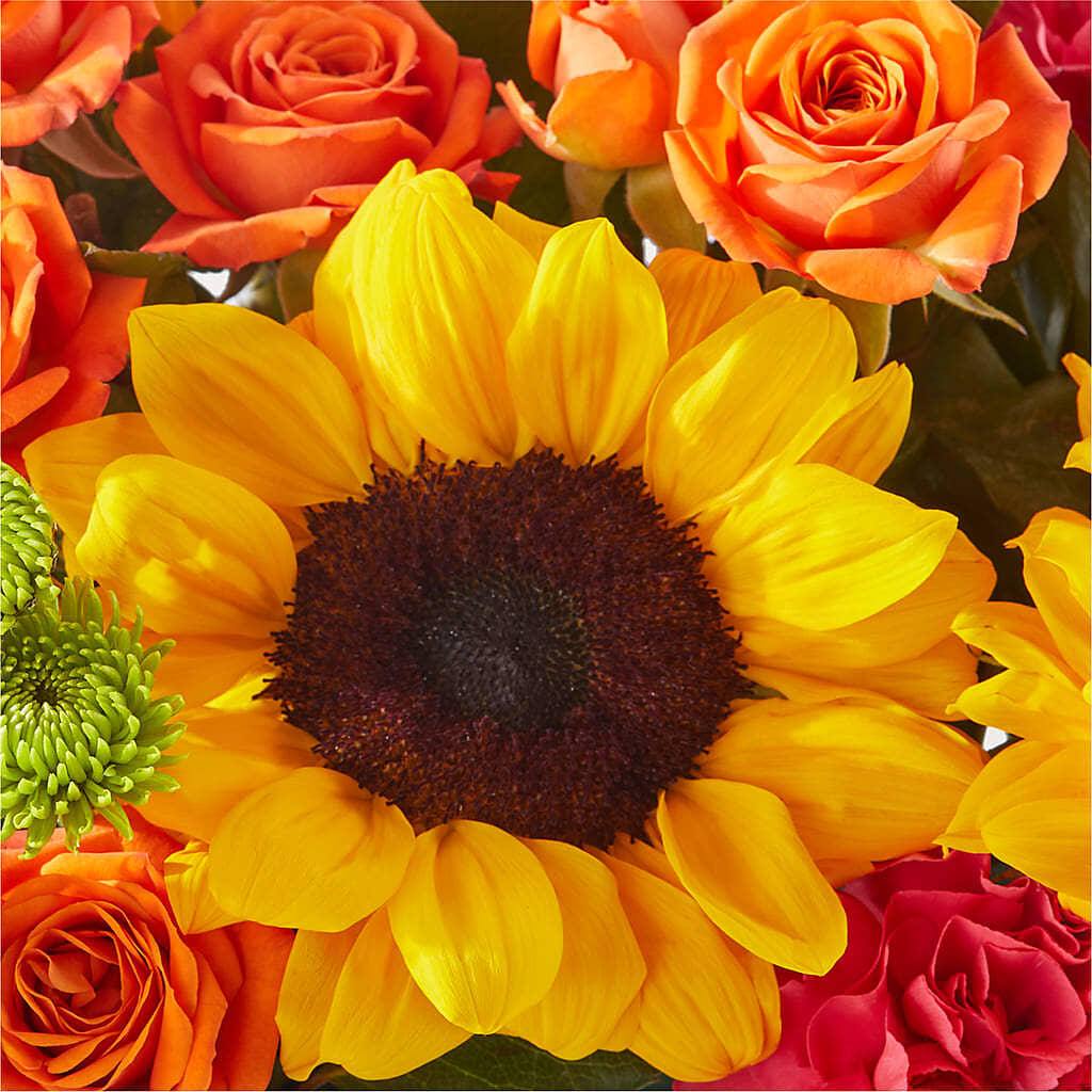Sun-drenched Blooms Box Bouquet – MOORE'S FLOWERS & GIFTS, Fayette AL