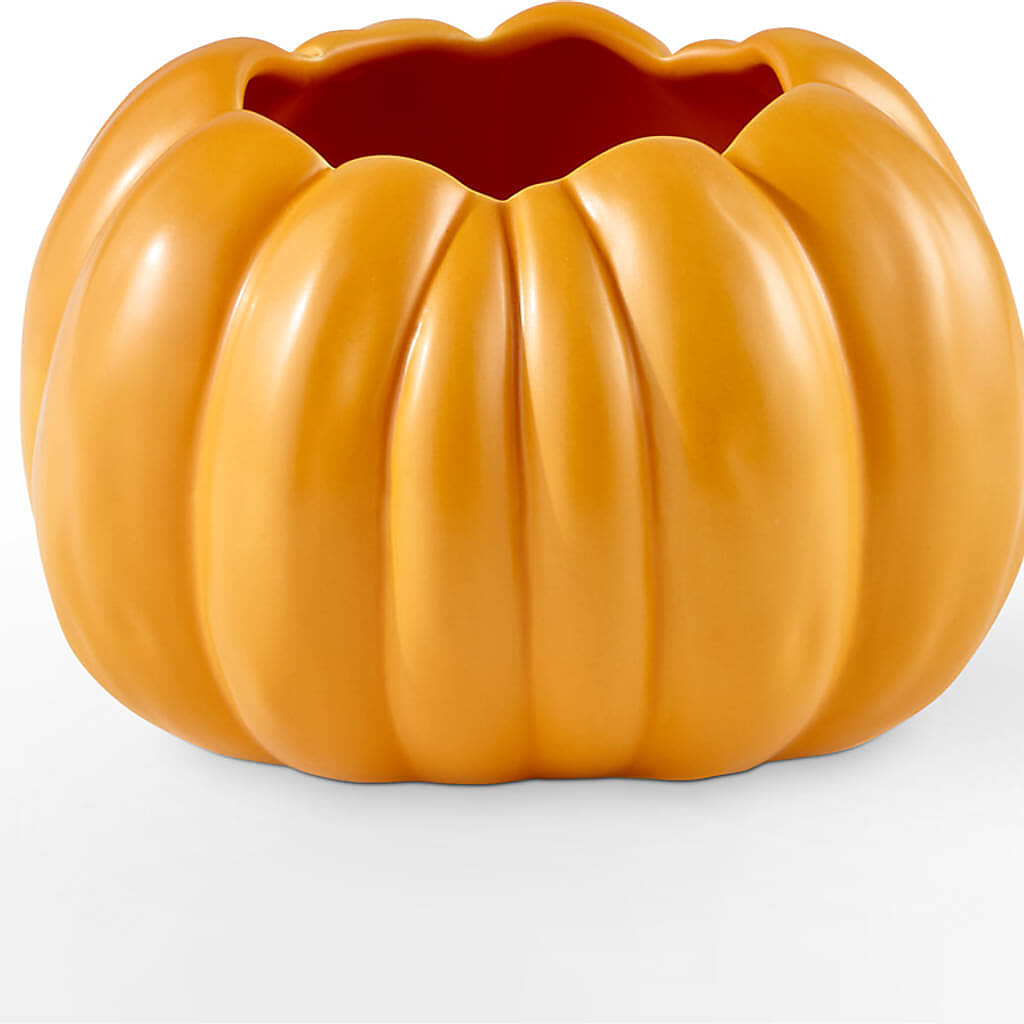Pick of the Patch Pumpkin Bouquet – MOORE'S FLOWERS & GIFTS, Fayette AL