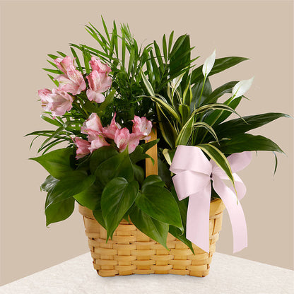 Living Spirit Dishgarden – MOORE'S FLOWERS & GIFTS, Fayette AL