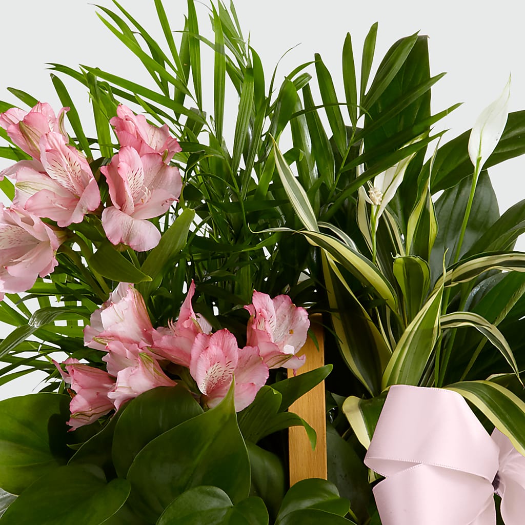 Living Spirit Dishgarden – MOORE'S FLOWERS & GIFTS, Fayette AL