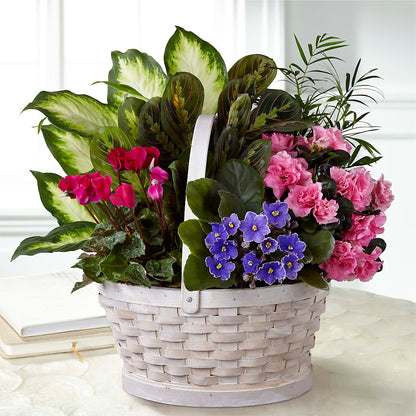 Peaceful Garden Planter – MOORE'S FLOWERS & GIFTS, Fayette AL