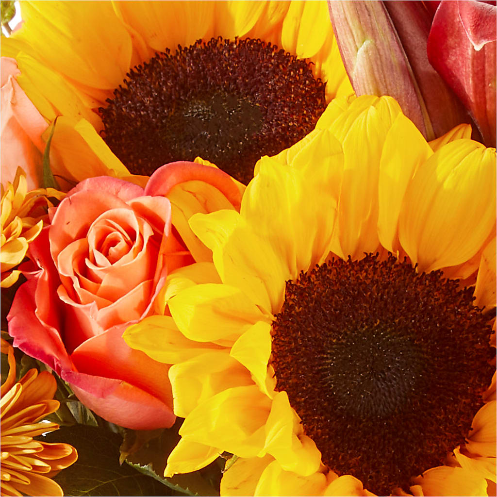 Acorn Lane Bouquet – MOORE'S FLOWERS & GIFTS, Fayette AL