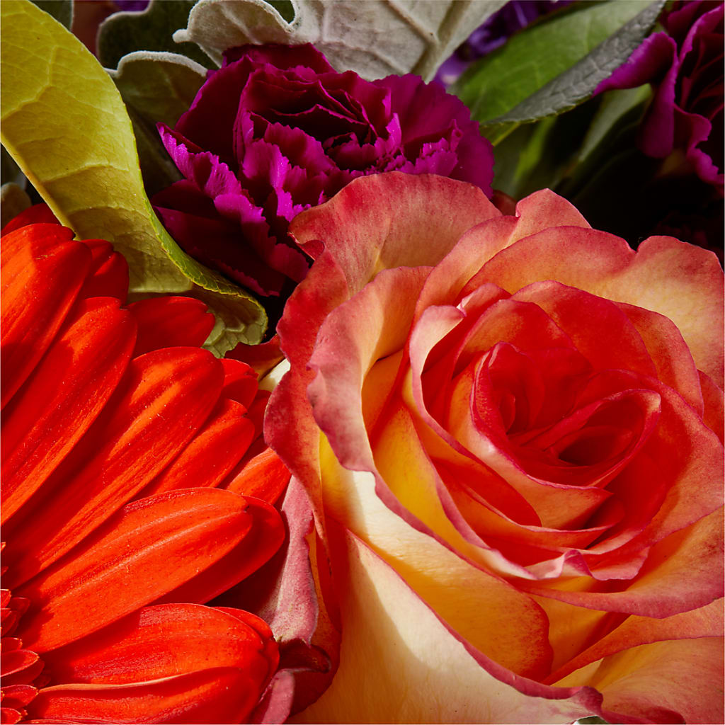 Sangria Bouquet – MOORE'S FLOWERS & GIFTS, Fayette AL