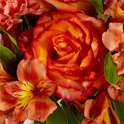 Apricot Glow Bouquet – MOORE'S FLOWERS & GIFTS, Fayette AL